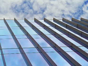 老虎城娱乐的魅力:购物、美食与夜生活的完美结合