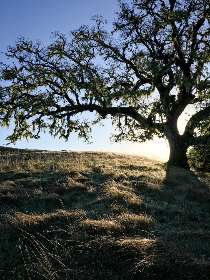 美高梅赌博网址背后的行业分析与市场趋势解读