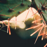 《天天直播》网络电视高清版免费下载安装指南 0vfm6