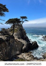 《大唐荣耀》在线观看直播，重温盛世大唐的荣耀与传奇